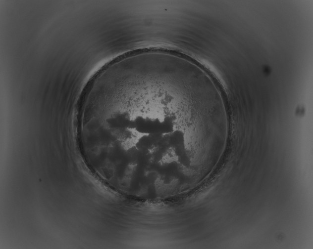 X0000091510983200708311223