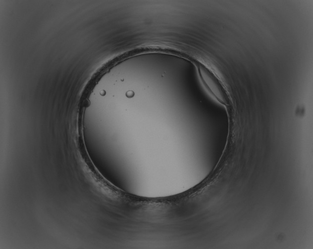 X0000091510984200708311223