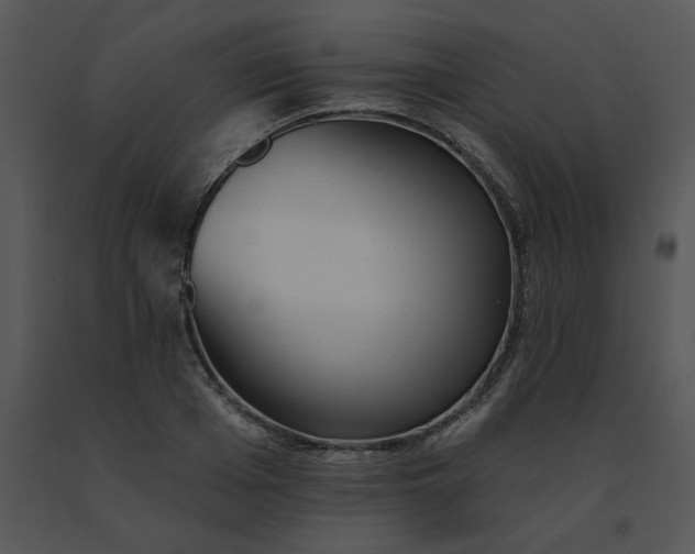 X0000091510985200708311223