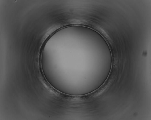 X0000091510986200708311223