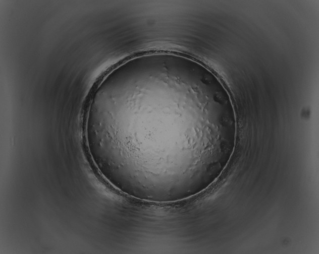 X0000091510987200708311223