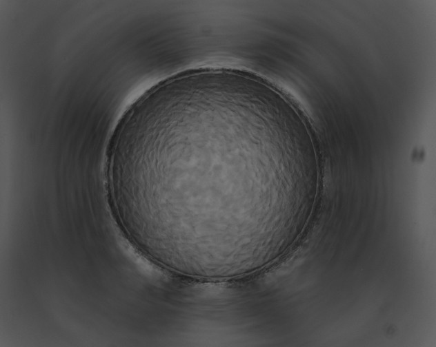 X0000091510990200708311223