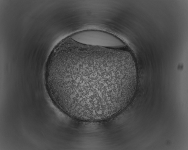 X0000091510991200708311223