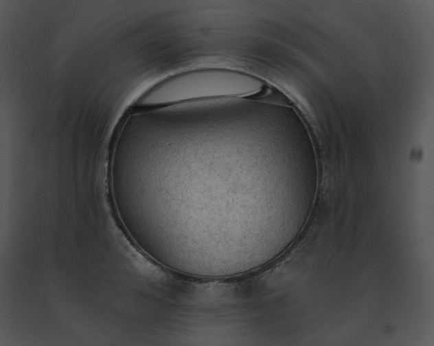 X0000091510992200708311223