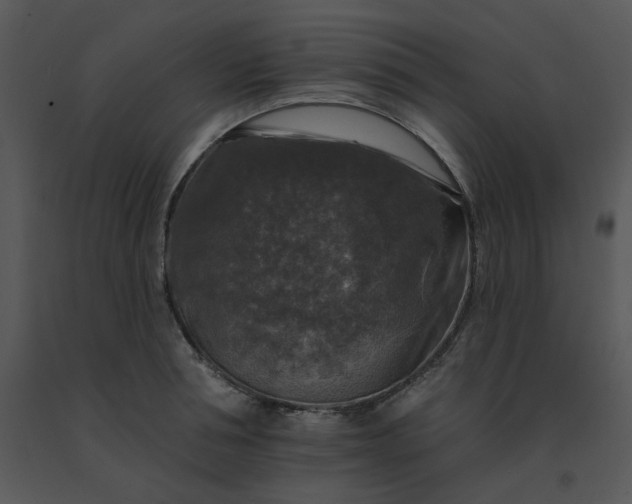 X0000091510994200708311223