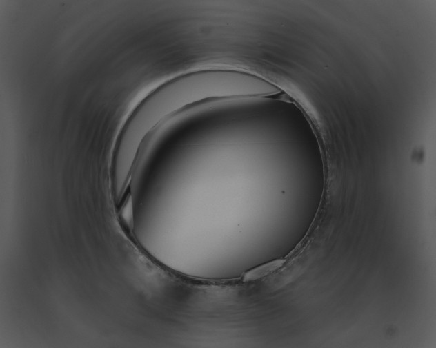 X0000091510996200708311223