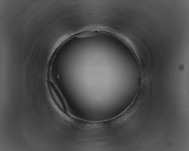 X0000091510997200708311223