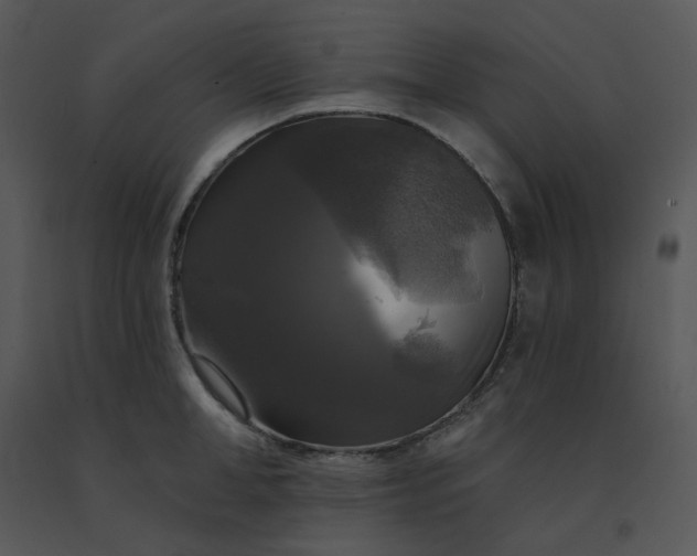 X0000091510998200708311223