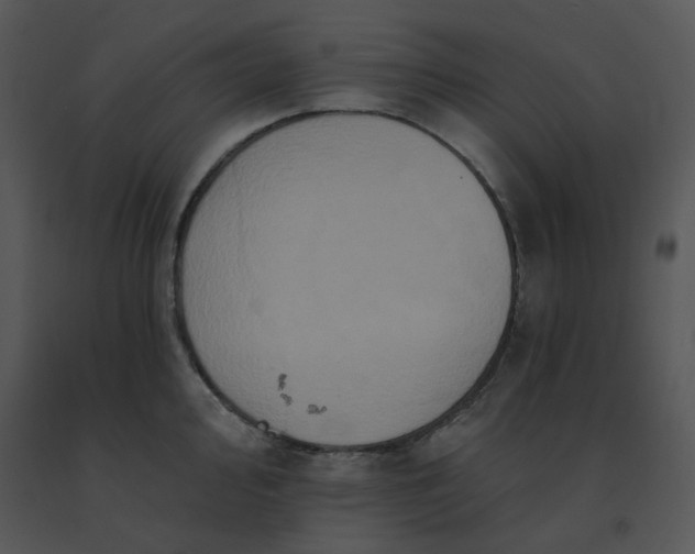 X0000091511000200708311223