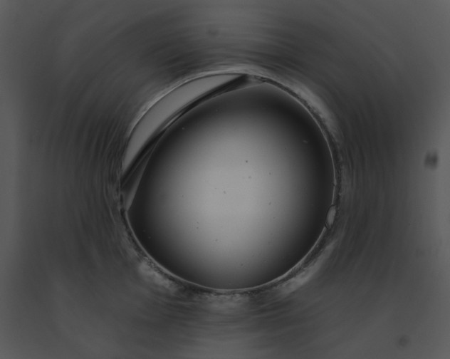 X0000091511001200708311223