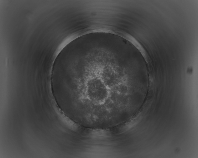 X0000091511002200708311223