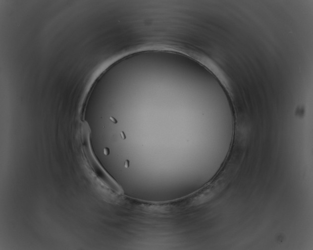 X0000091511004200708311223