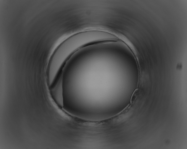 X0000091511005200708311223