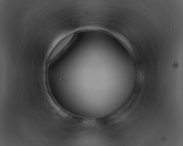 X0000091511006200708311223