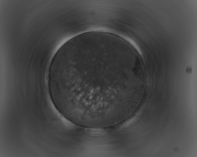 X0000091511007200708311223