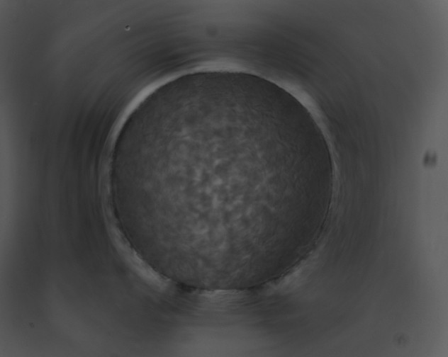 X0000091511008200708311223