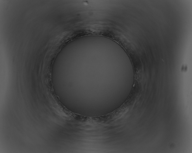 X0000091511009200708311222