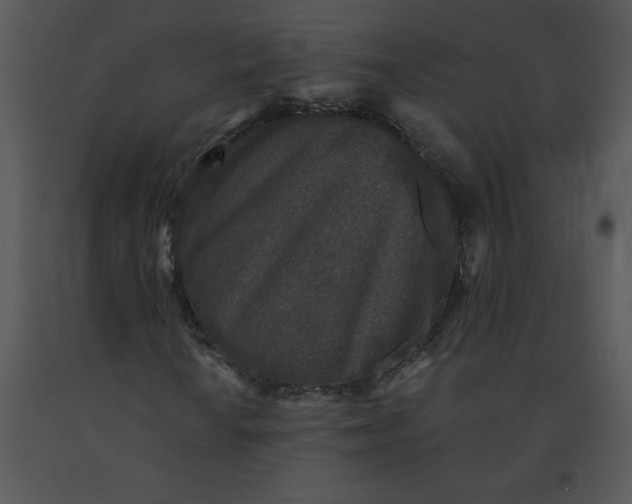 X0000091511010200708311222