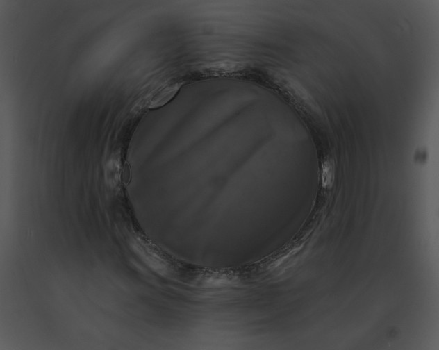 X0000091511011200708311222