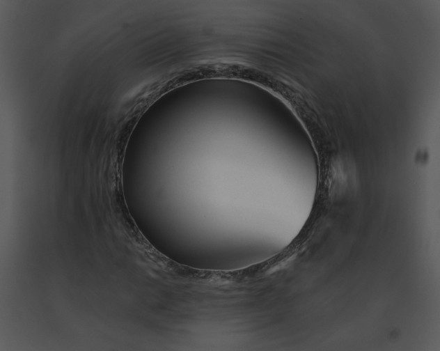 X0000091511014200708311222