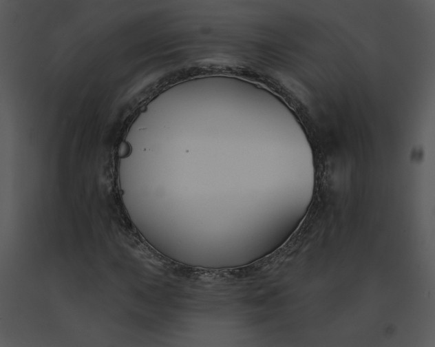 X0000091511015200708311222