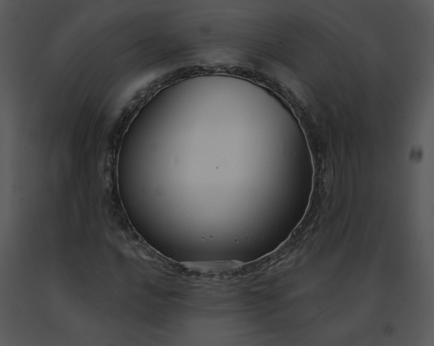 X0000091511016200708311222