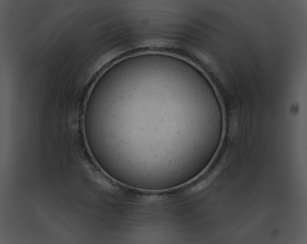 X0000091511017200708311222