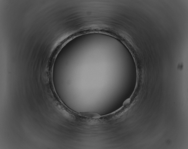 X0000091511018200708311222