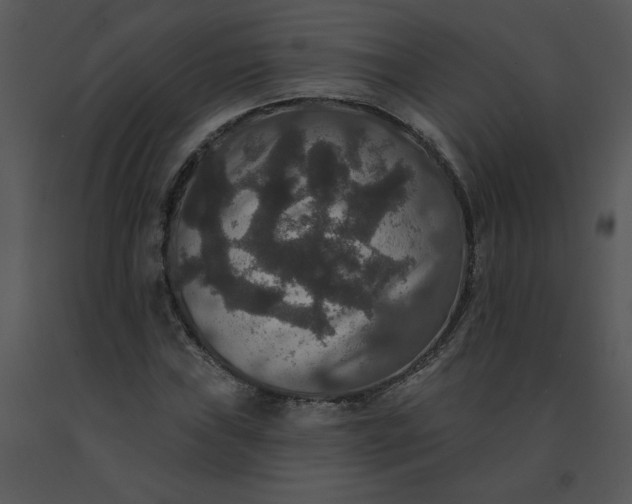 X0000091511019200708311222