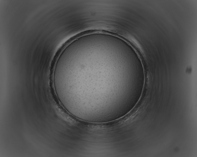 X0000091511020200708311222