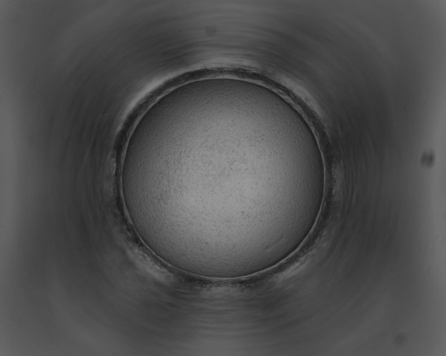 X0000091511021200708311222