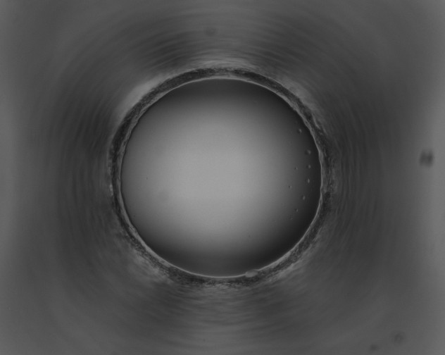 X0000091511022200708311222