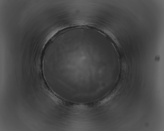 X0000091511023200708311222