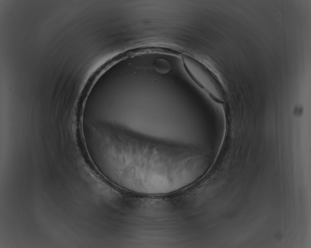 X0000091511024200708311223