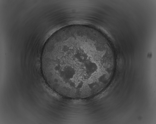 X0000091511025200708311223