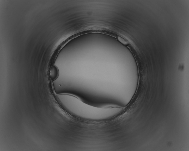 X0000091511026200708311223