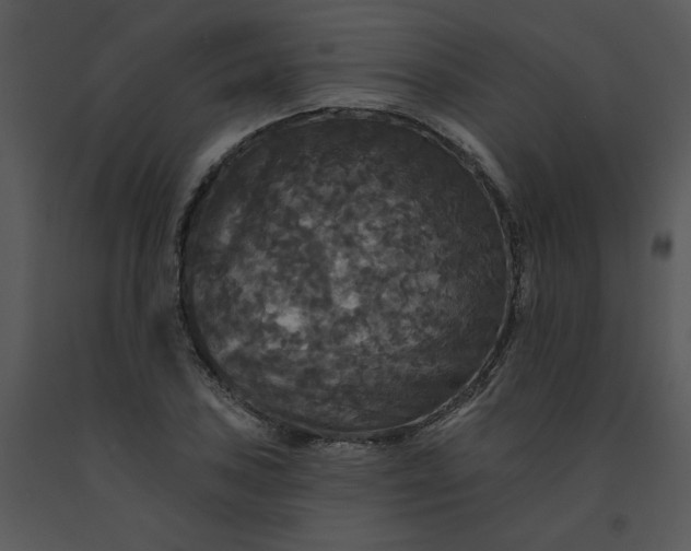 X0000091511027200708311223