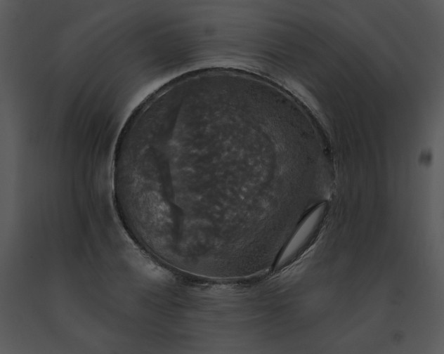 X0000091511028200708311223