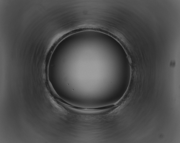 X0000091511030200708311223