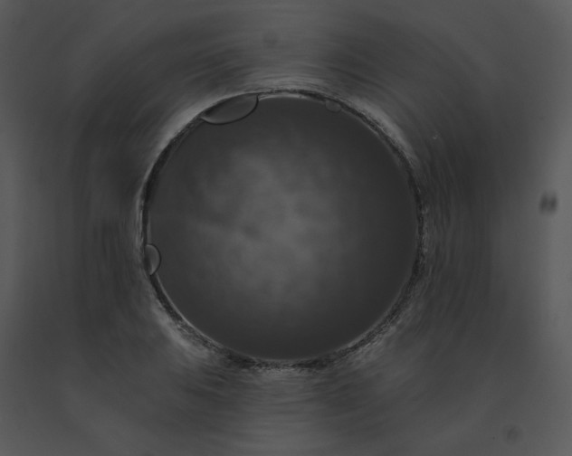 X0000091511031200708311223