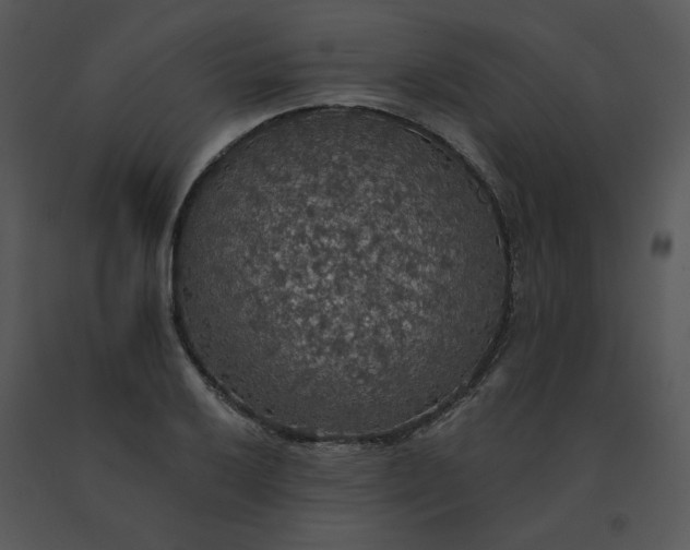 X0000091511032200708311223