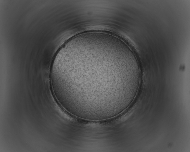 X0000091511033200708311223