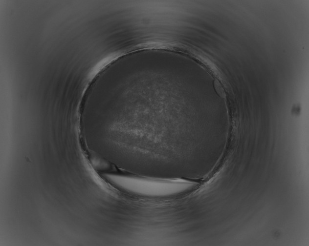 X0000091511034200708311223