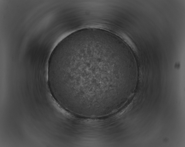 X0000091511036200708311223