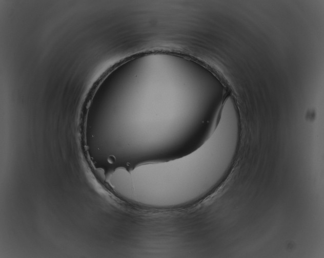 X0000091511038200708311223