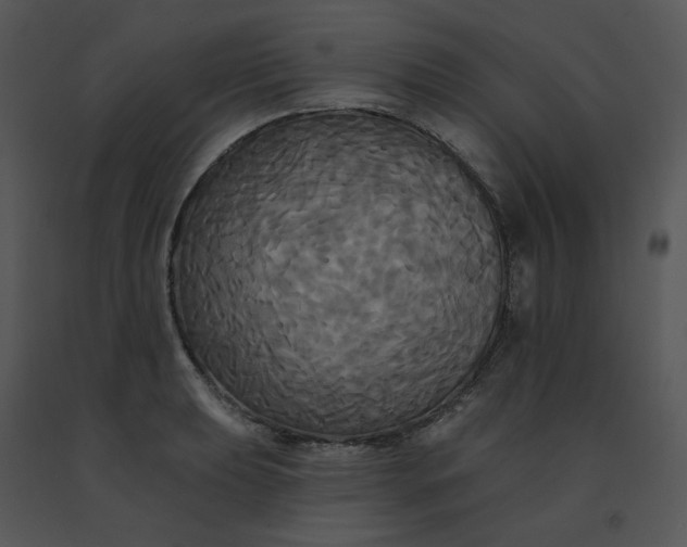 X0000091511039200708311223