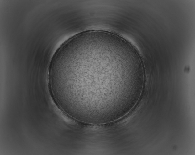 X0000091511040200708311223