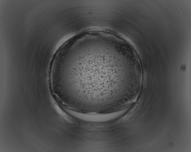 X0000091511042200708311223