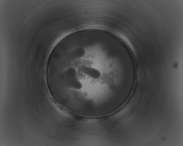 X0000091511043200708311223