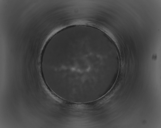 X0000091511045200708311223